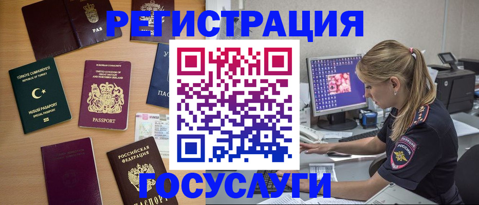 прописка для школы в Курчалом