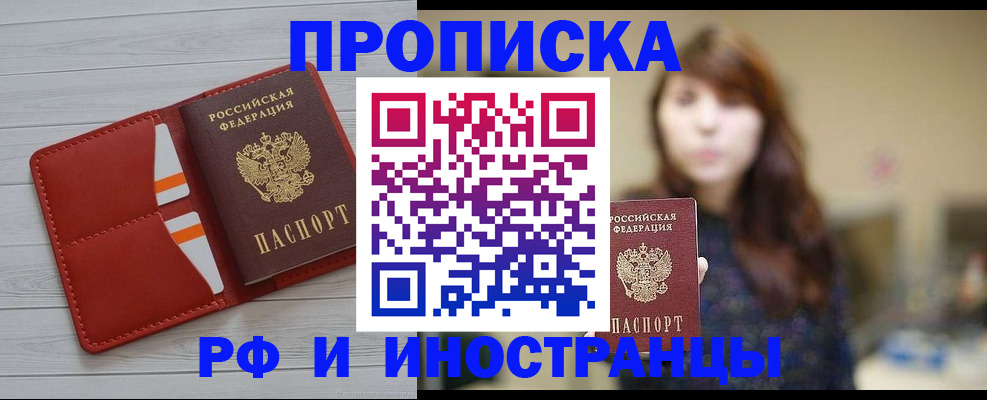 временная регистрация поиск в Курчалом